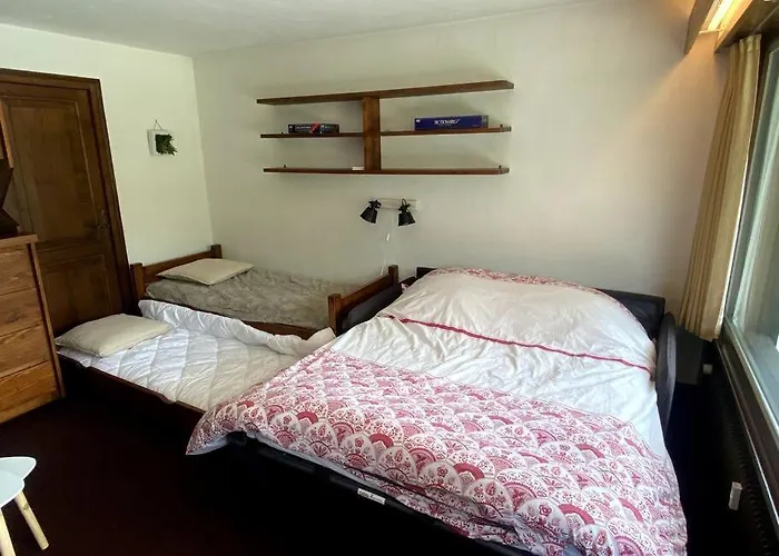 Grand A 300m Du Pied Des Pistes, 梅杰夫