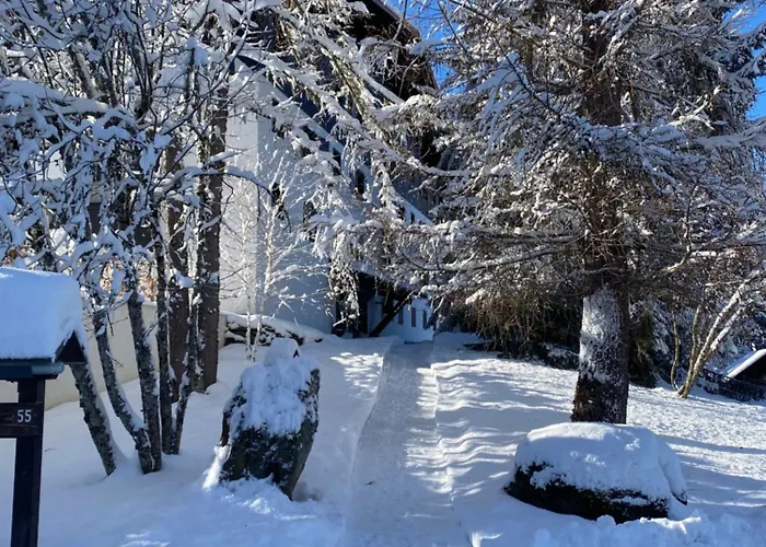 公寓 Grand A 300m Du Pied Des Pistes,